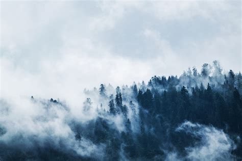 Kostenlose Foto Landschaft Natur Wald Wildnis Berg Schnee Kalt