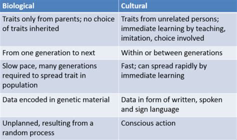 Social Structure Theories and Culture Flashcards | Quizlet