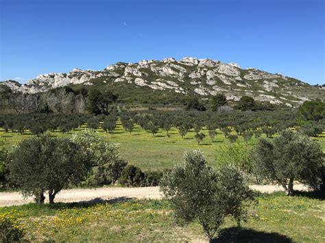 Habitant Communaut De Communes Vall E Des Baux Alpilles