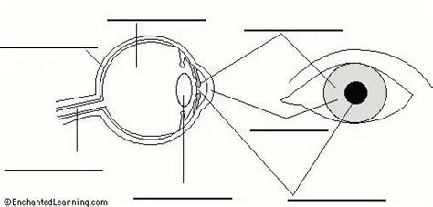 Eye diagram labeled