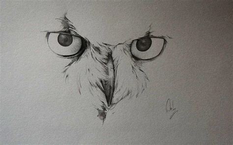 Owl face sketch Drawing by Ivan Patino - Pixels