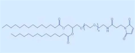 Dmg Peg Mal Mal Peg Dmg 12 二肉豆蔻酰 Rac 甘油 3 聚乙二醇马来酰亚胺 Udp糖丨mof丨金属有机框架丨聚集