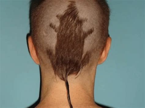 25 Manly Ways To Rock With Rat Tail Hairstyles 2023 Trends