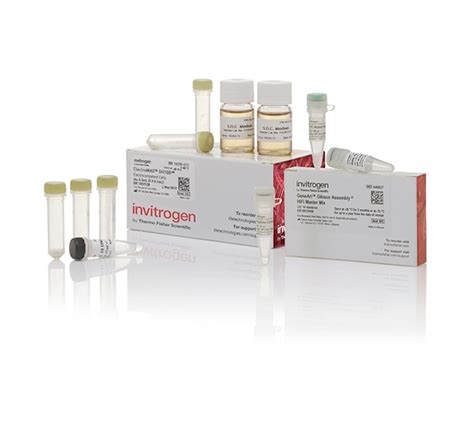 Invitrogen™ GeneArt™ Gibson Assembly HiFi Cloning Kit, electrocompetent ...