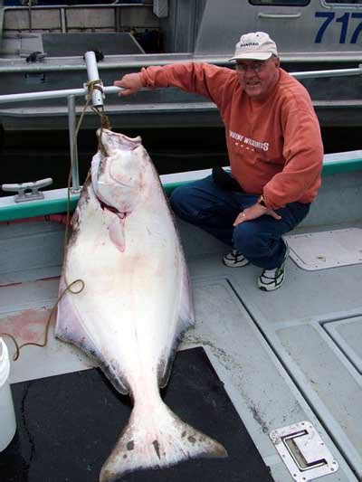 Halibutfishingalaska Big Blue Charters