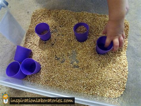 Oatmeal Sensory Bin Inspiration Laboratories