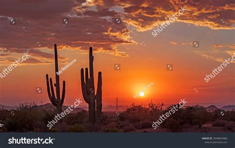 Colorful Orange Tinted Desert Sunset Skies Stock Photo 1834847680 ...