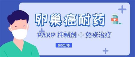 卵巢癌耐药僵局打破，parp抑制剂联合免疫治疗 知乎