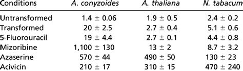 Purine synthesis inhibitors cause supersensitivity to A. tumefaciens... | Download Scientific ...