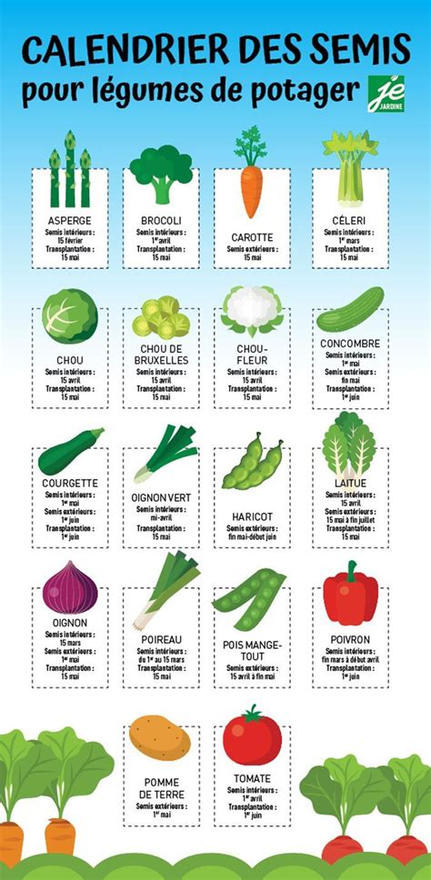 Calendrier Des Semis Pour L Gumes De Potager Artofit