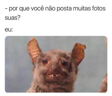 Por Que Voc N O Posta Muitas Fotos Suas Eu Memes