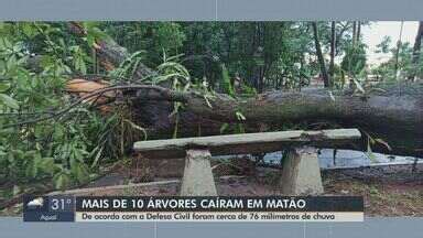 Jornal Da Eptv Edi O S O Carlos Araraquara Chuva E Ventos