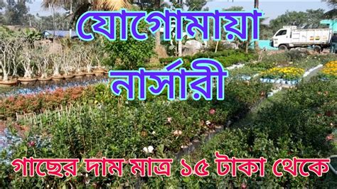 Plant Nursery Visit In West Bengal Plant Gets Only From Rupees