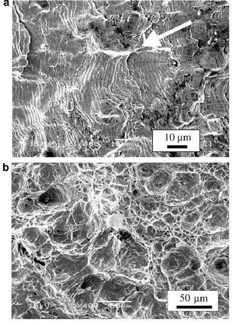 SEM Micrographs Of Fracture Surfaces Of SS Samples In Air Showing