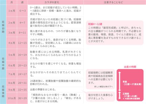 赤ちゃんを迎える前に！妊娠についての基礎知識｜知っておきたい女性のカラダと健康のこと｜女性のための健康ラボ Mint⁺