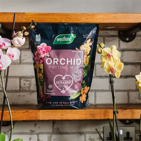 Buy Orchid Potting Mix