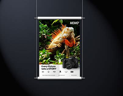 Camera Poster Projects | Photos, videos, logos, illustrations and branding on Behance