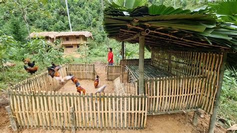 Build A Complete Bamboo Chicken Coop In The Forest Shelter