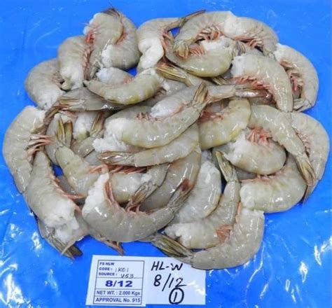 Headless White Shrimps Prawns At Best Price In Chennai By K V Marine