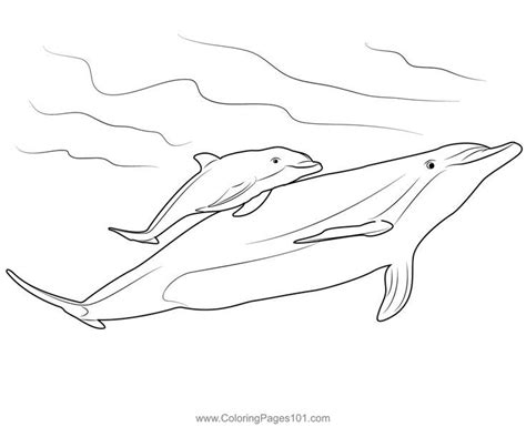 Mother And Baby Dolphin Coloring Page | Dolphin coloring pages, Baby dolphins, Whale coloring pages