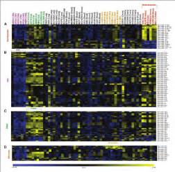 Microrna Expression Signatures Of Cell Lines Derived From Specific