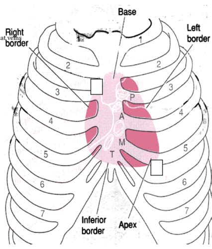 A Examination Intervention For Cardiopulmonary Conditions Flashcards