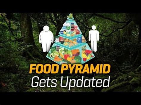 Australian Food Pyramid gets updated - will it curb obesity? : r/vegan