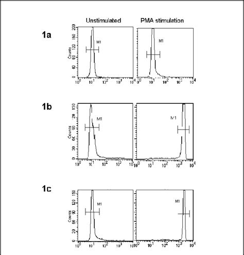 Histograms Of The Dihydrorhodamine Dhr Assay Of Granulocytes From Download Scientific Diagram