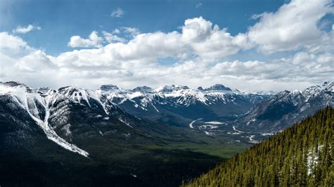 Banff Sulphur Mountain Guided Hike