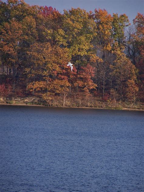 Stephen A Forbes State Park An Illinois State Park Located Near Salem