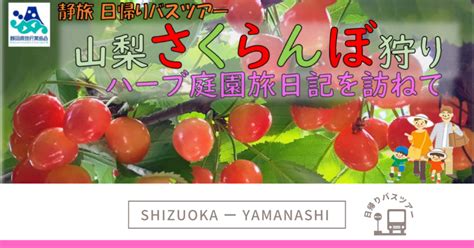 【日帰り旅行】浜松発着「山梨さくらんぼ狩り」ツアー 浜松en旅