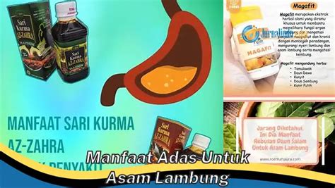 Intip 8 Manfaat Adas Untuk Asam Lambung Yang Bikin Kamu Penasaran