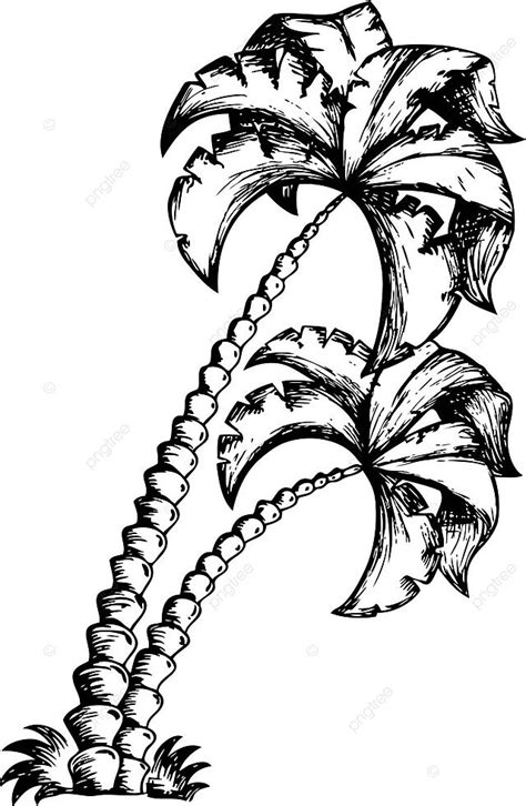 Palm Tree Theme Drawing 1 Draw Tree Nature Vector Draw Tree Nature