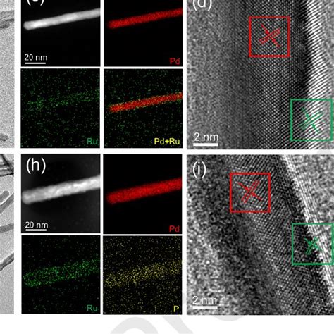 A Schematic Of The Preparation Of Pd RuP NRs The Electron Microscope