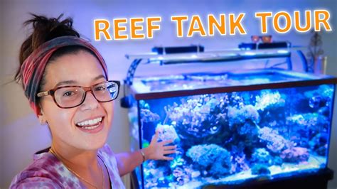 REEF TANK TOUR 120 Gallon MIXED Reef Update YouTube