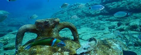 Snorkelling experience in Crete | musement