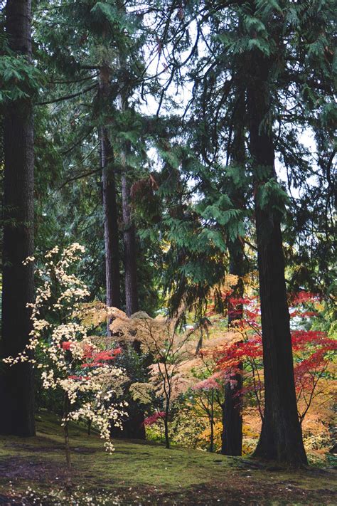 Portland Japanese Garden Hey LaRaye