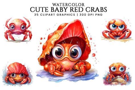 Watercolor Cute Baby Red Crabs Clipart Graphic By DesignScotch