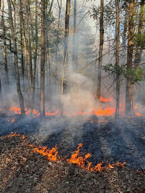 Update Allegan Co Wildfire Fully Contained