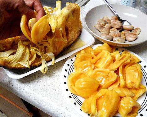 Vegan Green Jackfruit Recipes: Barbecue, Curry, Taco, Pasta, Carnitas and Stir-Fry