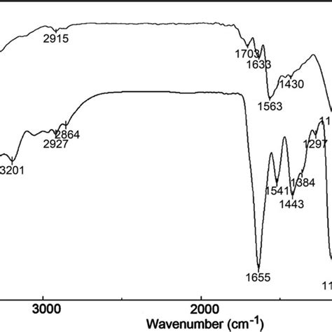 Ftir Spectra Of Mwcnt A And Mwcntpolyampscoam B Download Scientific Diagram