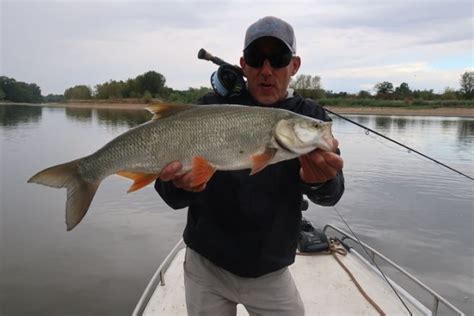 P Che De L Aspe La Mouche Sur La Loire En Compagnie De Lionel Guirado