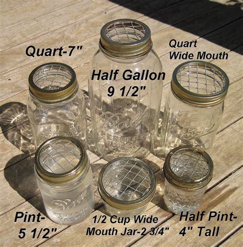 Ball Jar Sizes Reference Guide