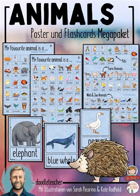 Animals Poster Und Flashkarten Megapaket Unterrichtsmaterial In Den