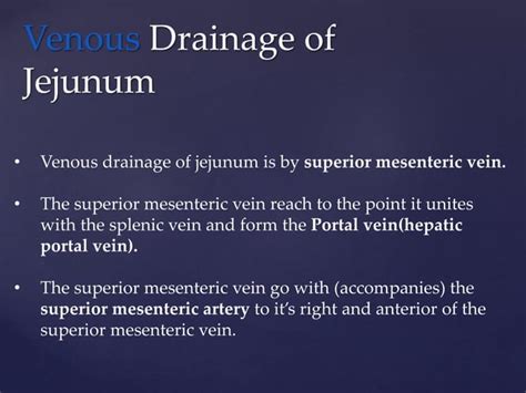 Gross anatomy of the jejunum , including blood and nerve supply, venous and lymphatic drainage ...