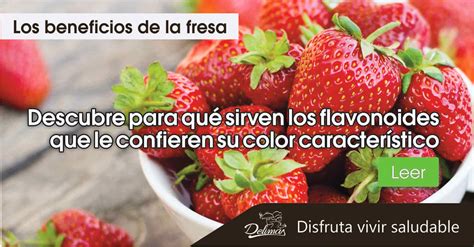 Fresa Propiedades Beneficiosas Rica En Flavonoides Blog Vive Sano