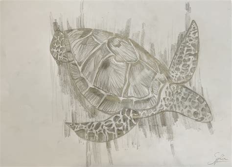 Realistic Turtle Drawing