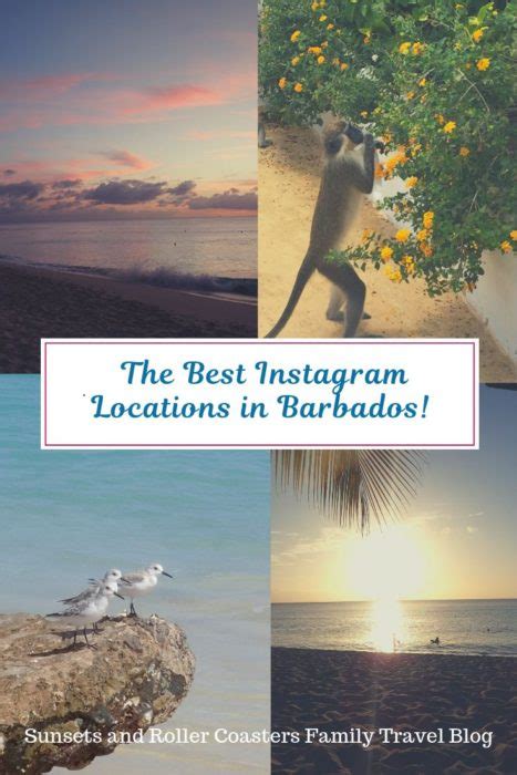 6 Most Instagrammable Locations In Barbados Sunsets And Roller Coasters