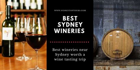 Guide To Sydney Wine Regions And Wineries Sydney Private Tours