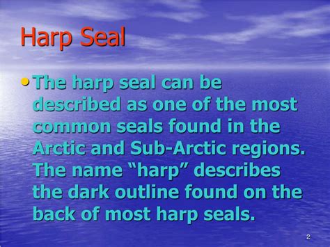 Ppt Harp Seal Powerpoint Presentation Free Download Id3122866